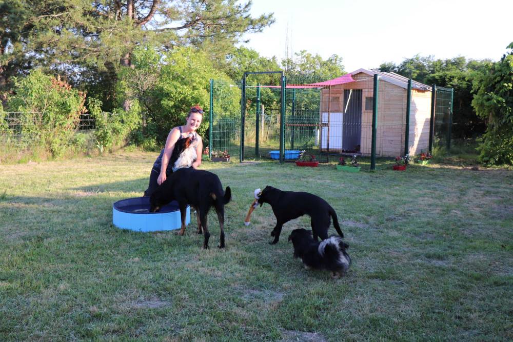 Les boxes de la pension canine à Saint-Denis-de-Pile