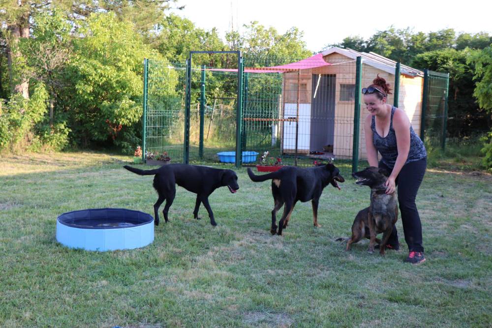 Les boxes de la pension canine à Saint-Denis-de-Pile7
