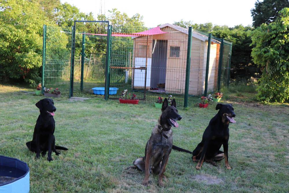 Les boxes de la pension canine à Saint-Denis-de-Pile8